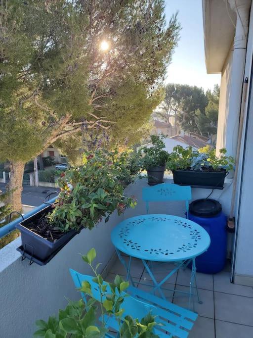 Lou Beach Home 75 M2 A 300 M De La Plage Avec Vue Mer La Ciotat Eksteriør bilde